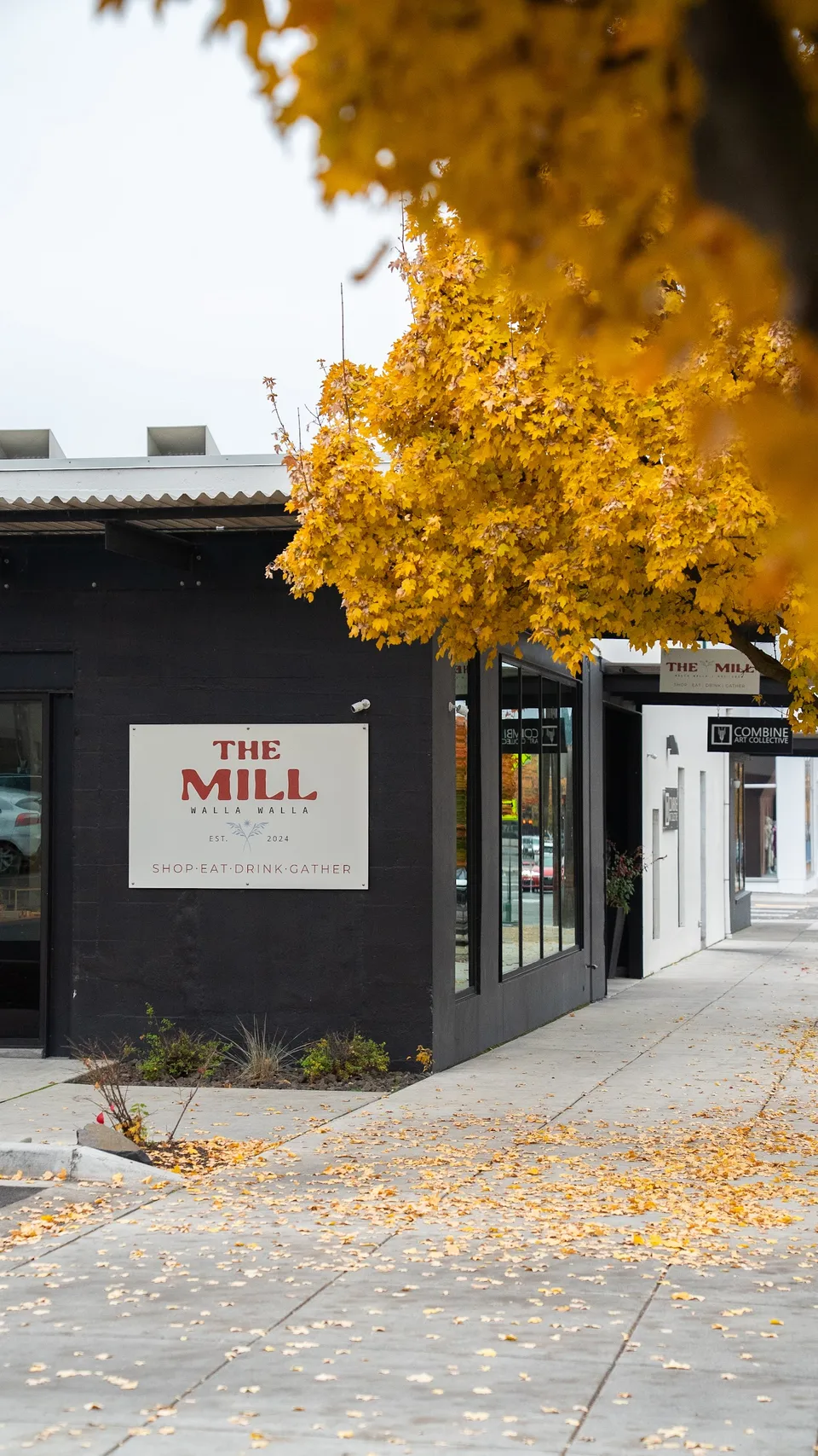 The Mill on East Rose Street
